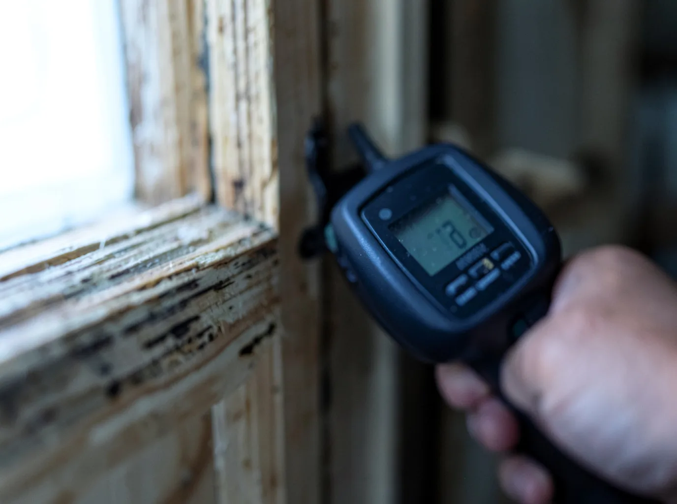 Moisture Inspection And Documentation in Wallula, WA
